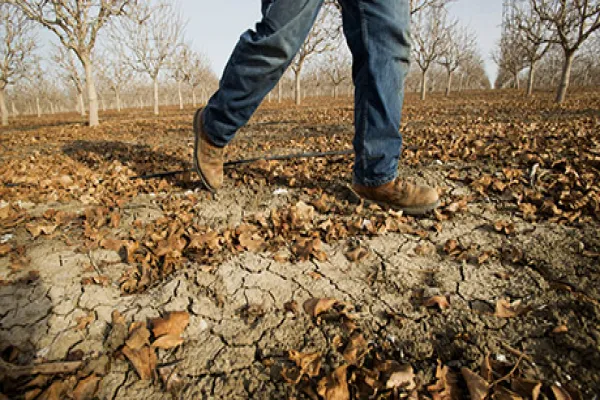 Drought Means No U.S. Water Delivery For California Farmers