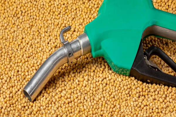 Agriculture and Energy