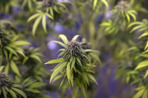 (Luke Duggleby/Bloomberg)