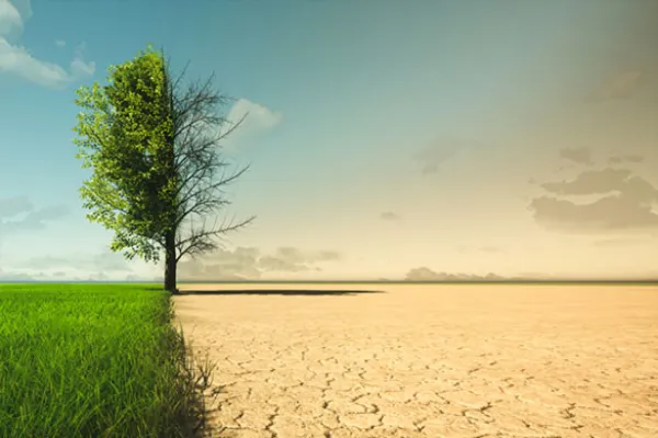 Moving Forward on ESG