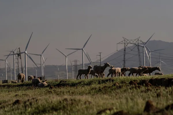 David Paul Morris/Bloomberg