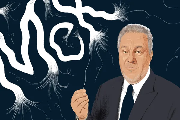 Illustrations by Laura Lannes