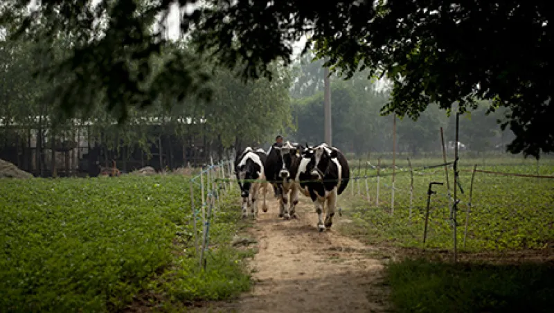 General Images Of Farming