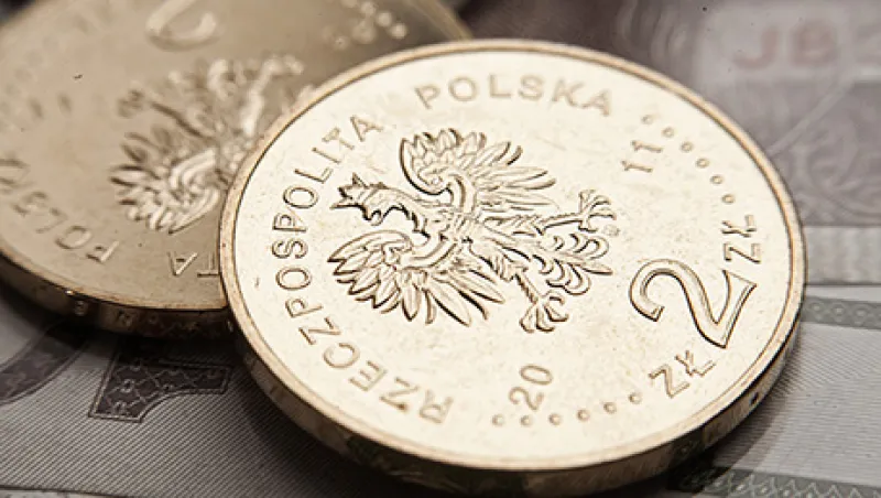 Poland's Zloty Bank Notes And Coins