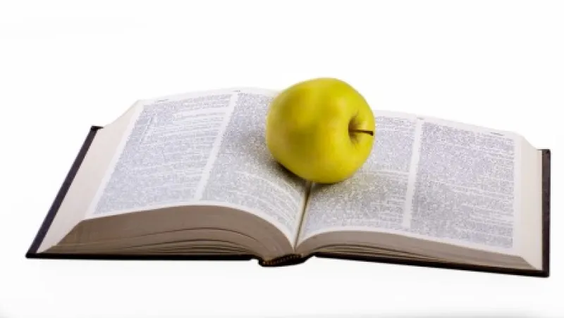 2014-10-monk-book-apple-large.jpg
