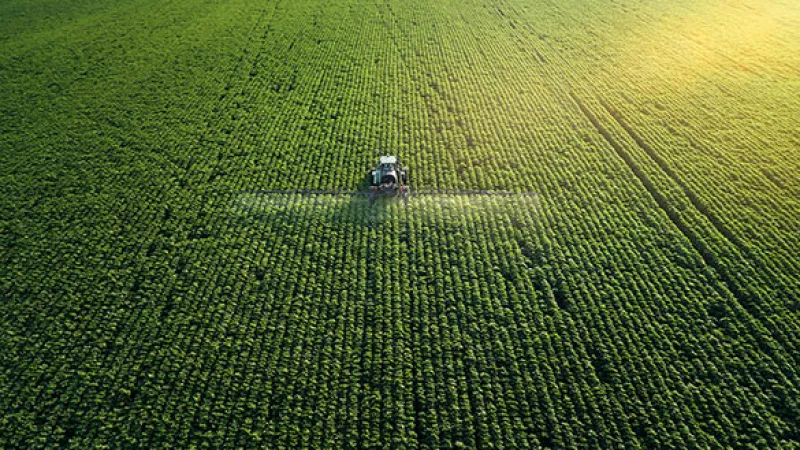 An Uncertain Crop Season