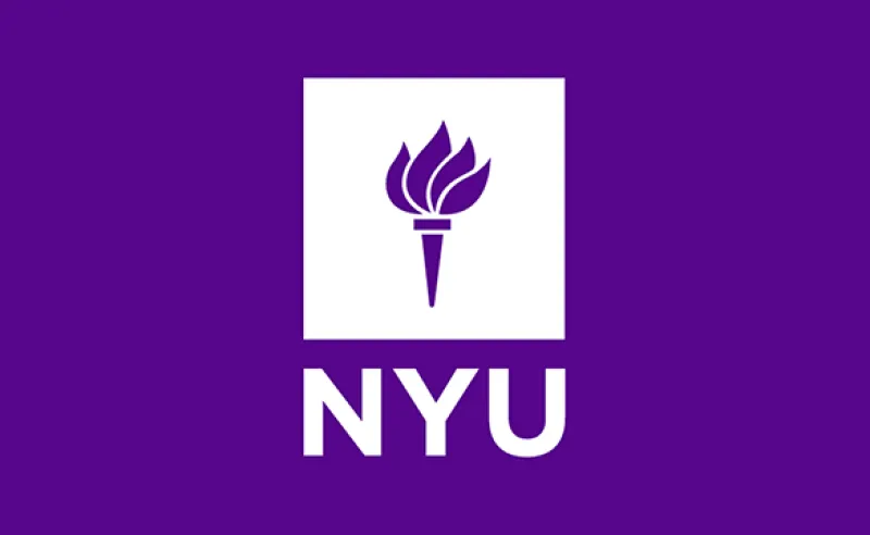 art-nyu-528.png