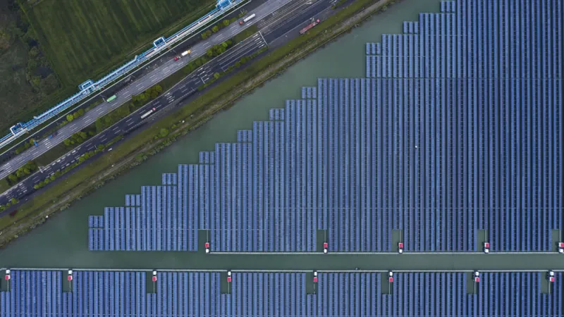 A solar panel farm in China. (Qilai Shen/Bloomberg)