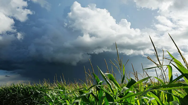 U.S. Farmers Look to More Variables in Weather