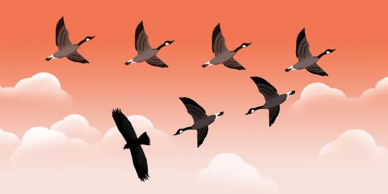 Illustration by Yarek Waszul.