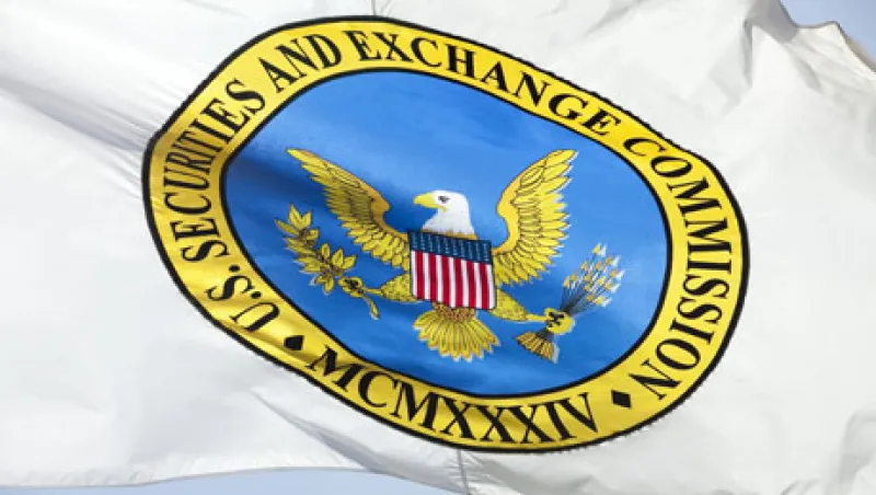 sec-flag-large.jpg