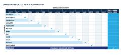 options corn schedule